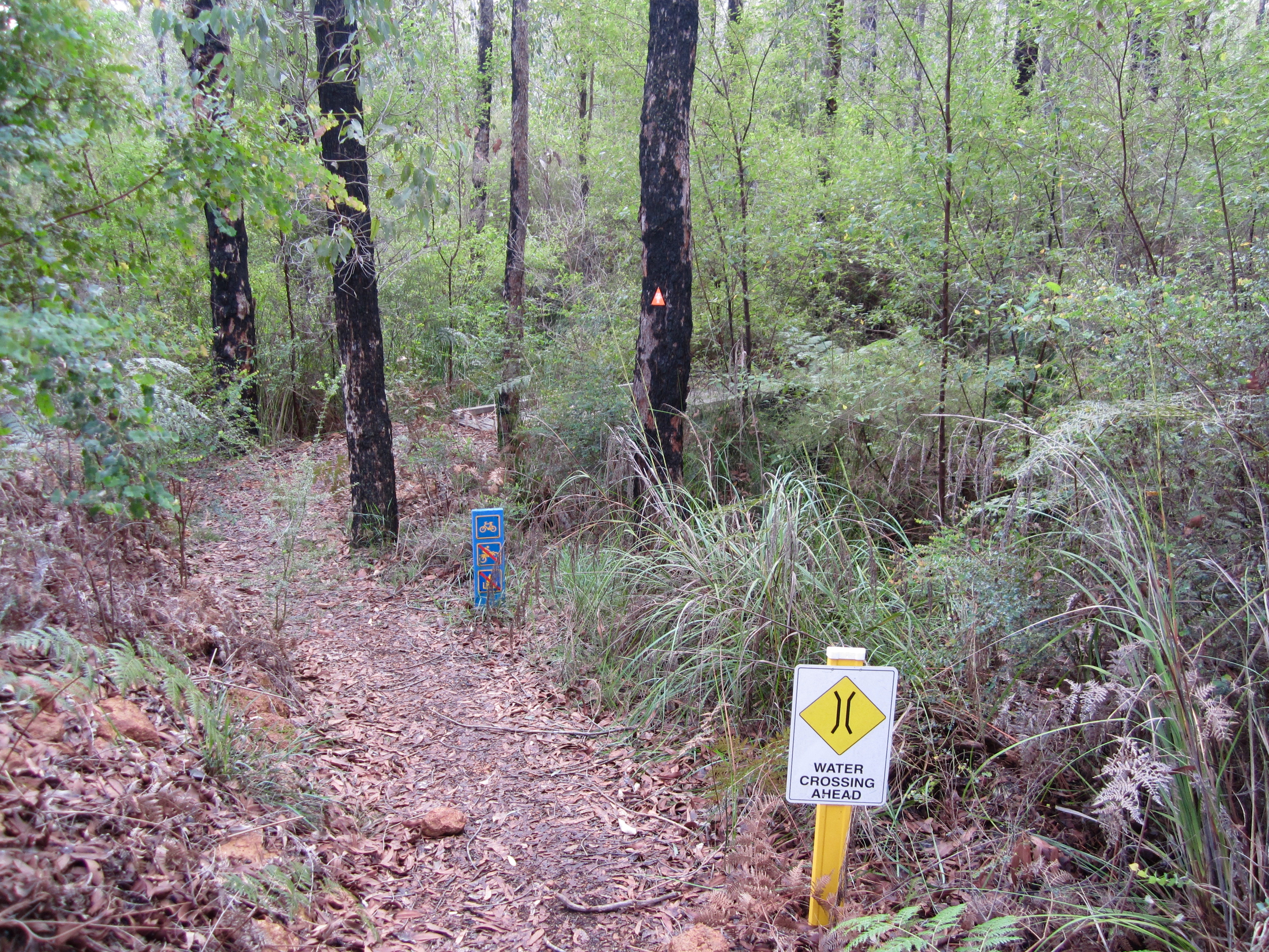 Samson Brook Crossing