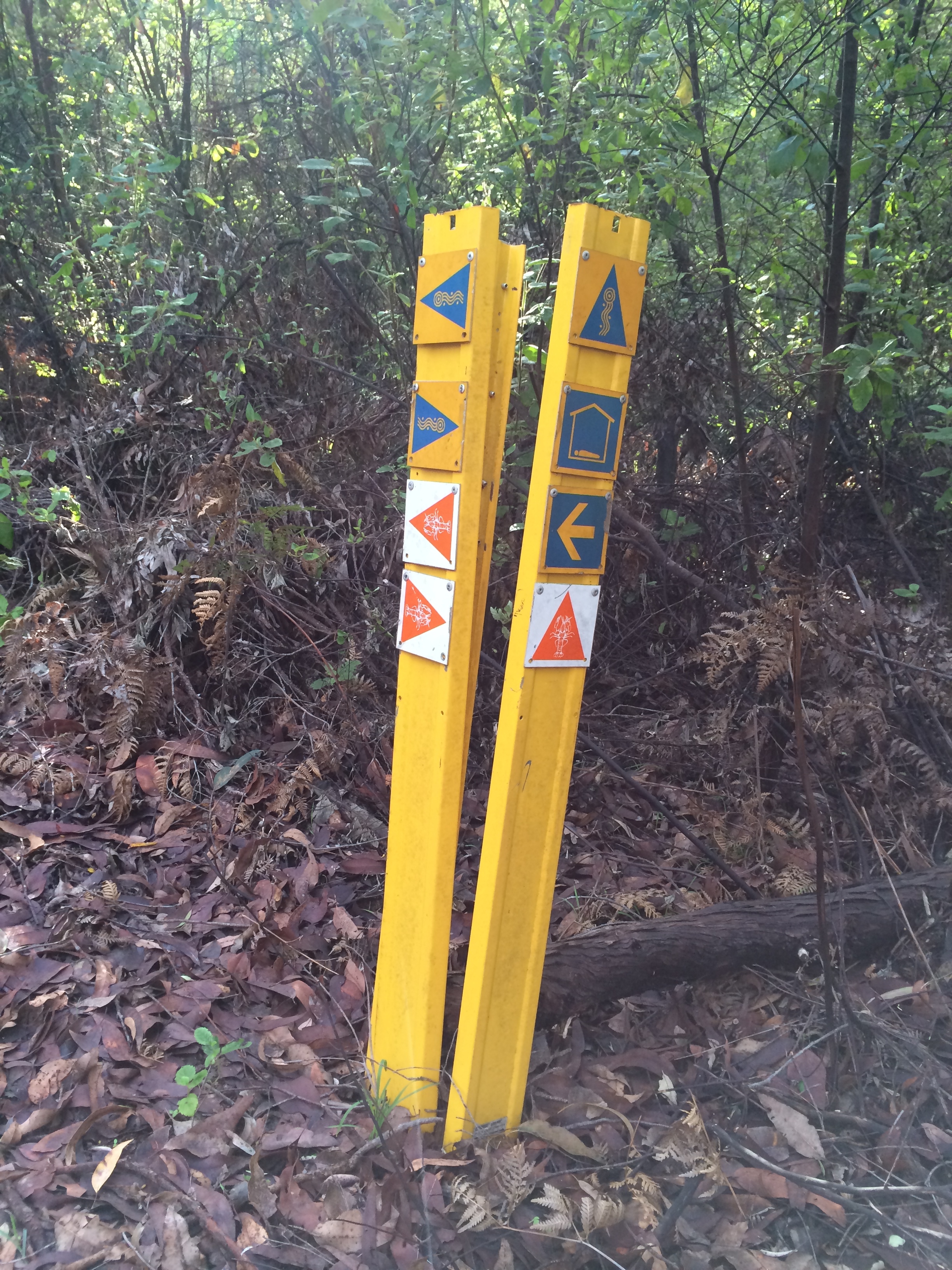 Marker on King Jarrah form near Bidjar hut