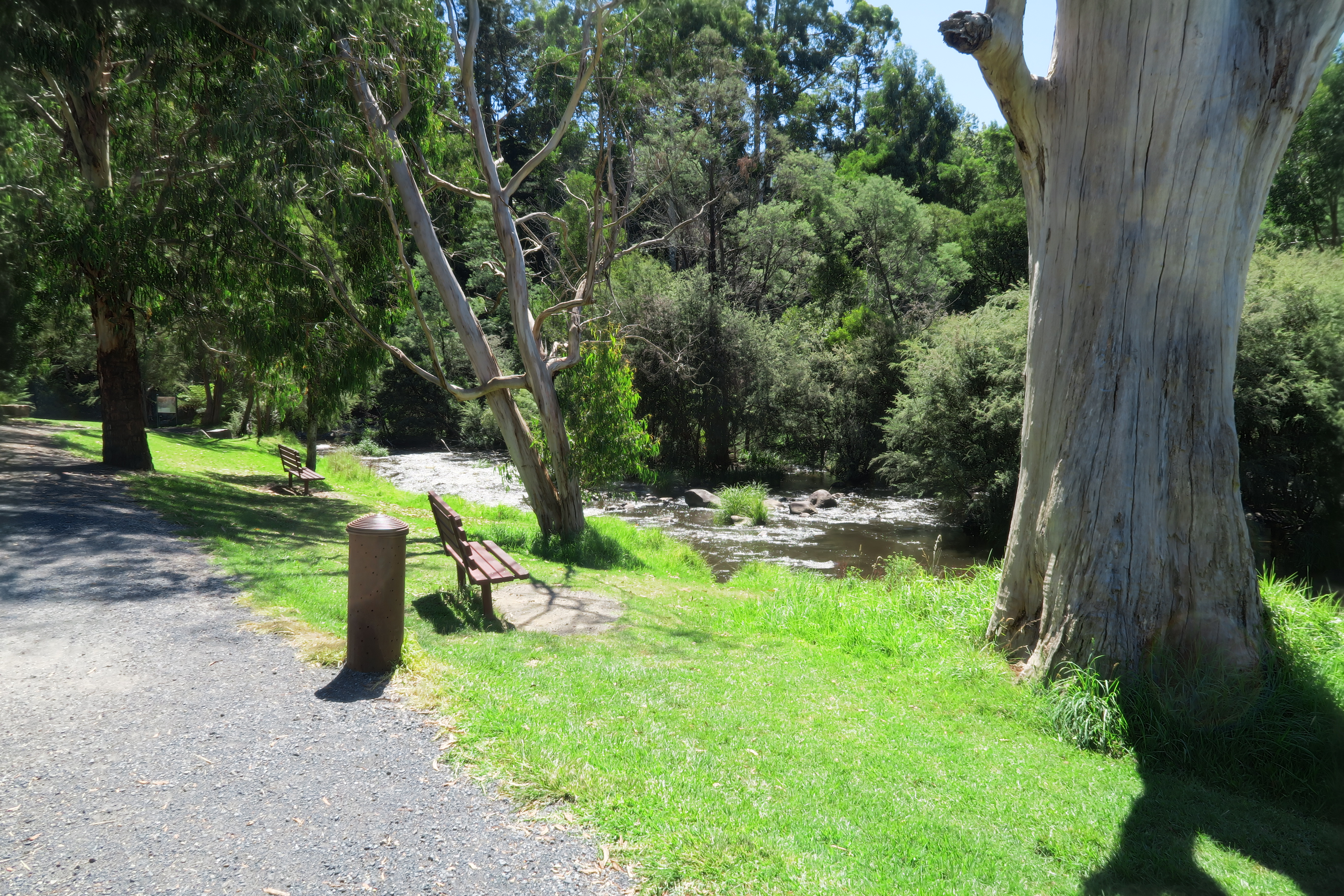Yarra River, Warburton