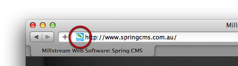 Browser toolbar showing a favicon