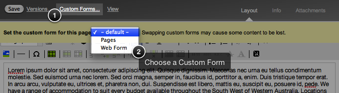 Choosing a Custom Form