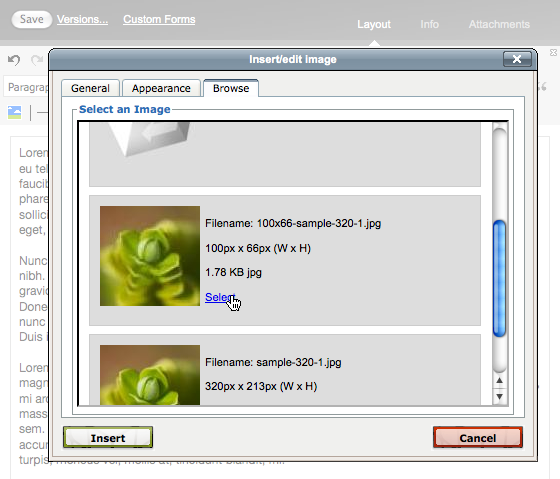 Click the browse tab and choose the image