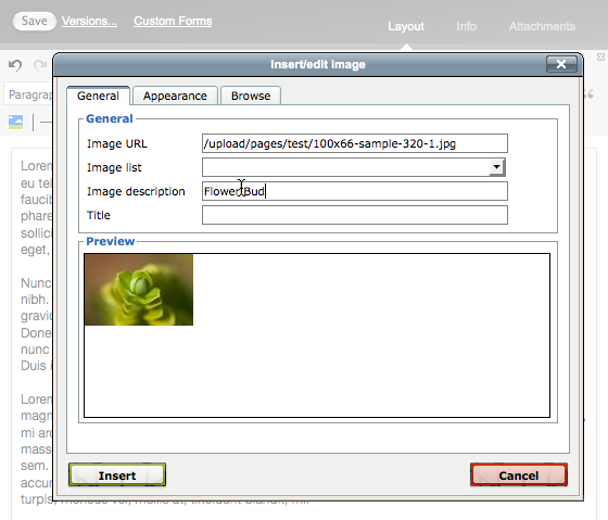 Enter an Image Description
