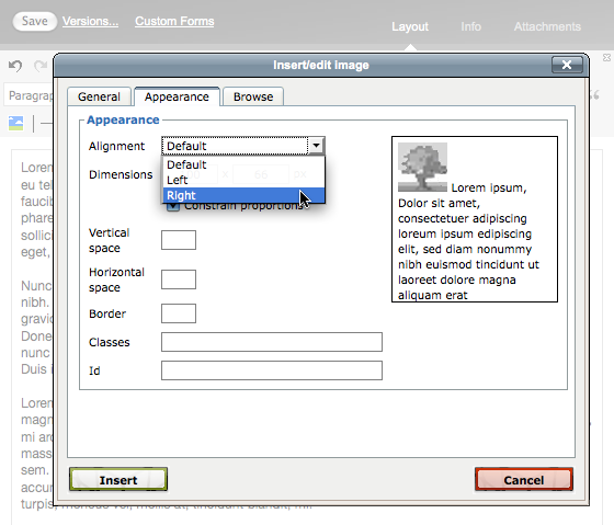 Set additional options on the Appearance tab