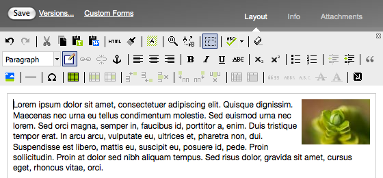 The placed image with optional float right applied