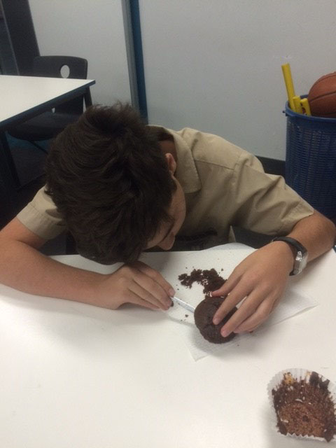 Mining Muffins image 2