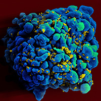 Norgen Biotek  Brands  Millennium Science