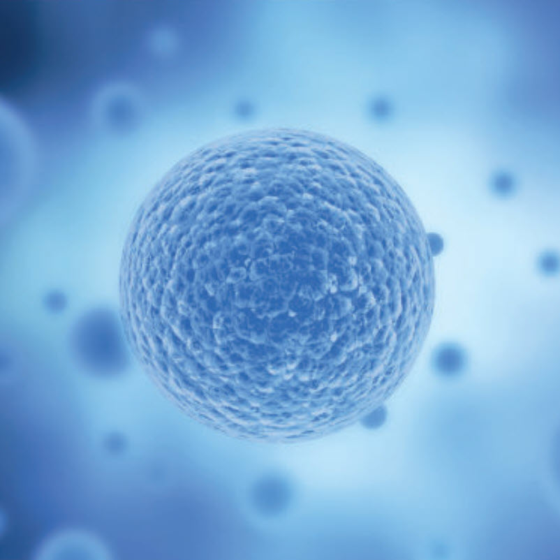 Proteins Proteintech Millennium Science