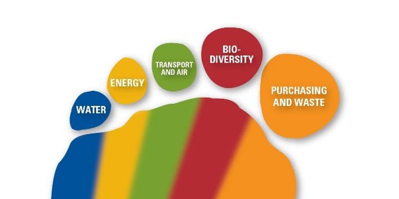 sustainable schools foot