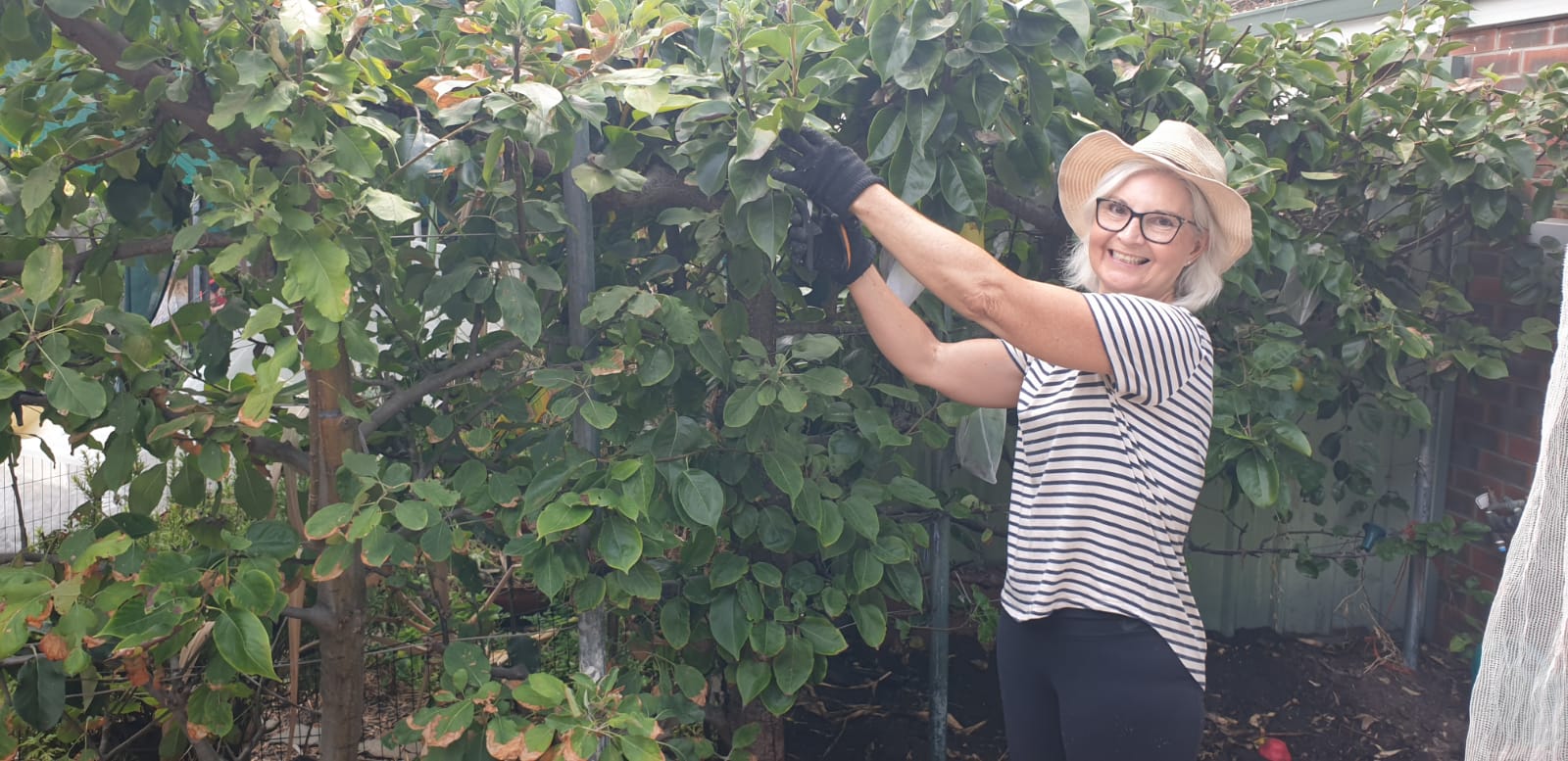 Growing Our Garden & Community With Bendigo Bank Bayswater Enviro House