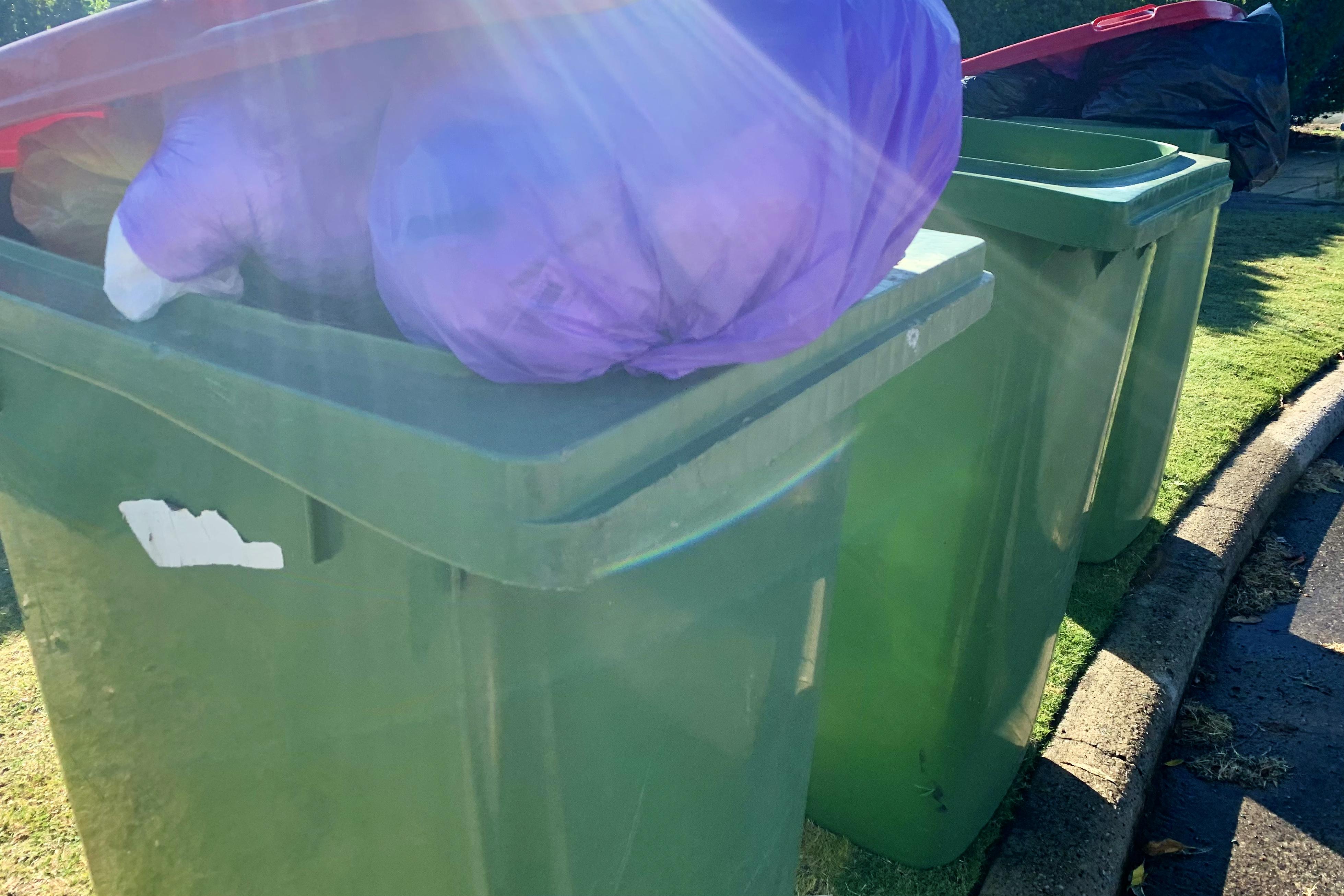 Redlidded bin diet tips Enviro House