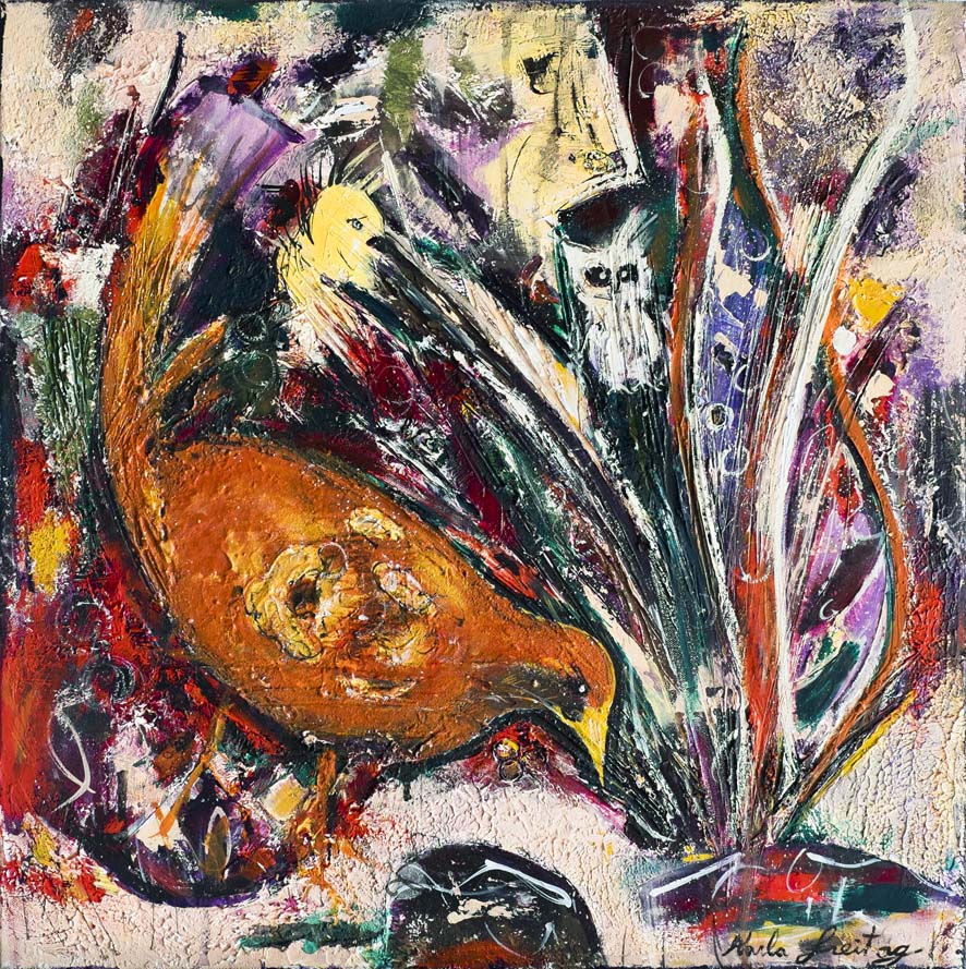 Tasmanian Native Hen