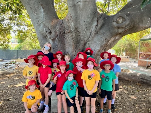 Room 3 made individual poppies to wear