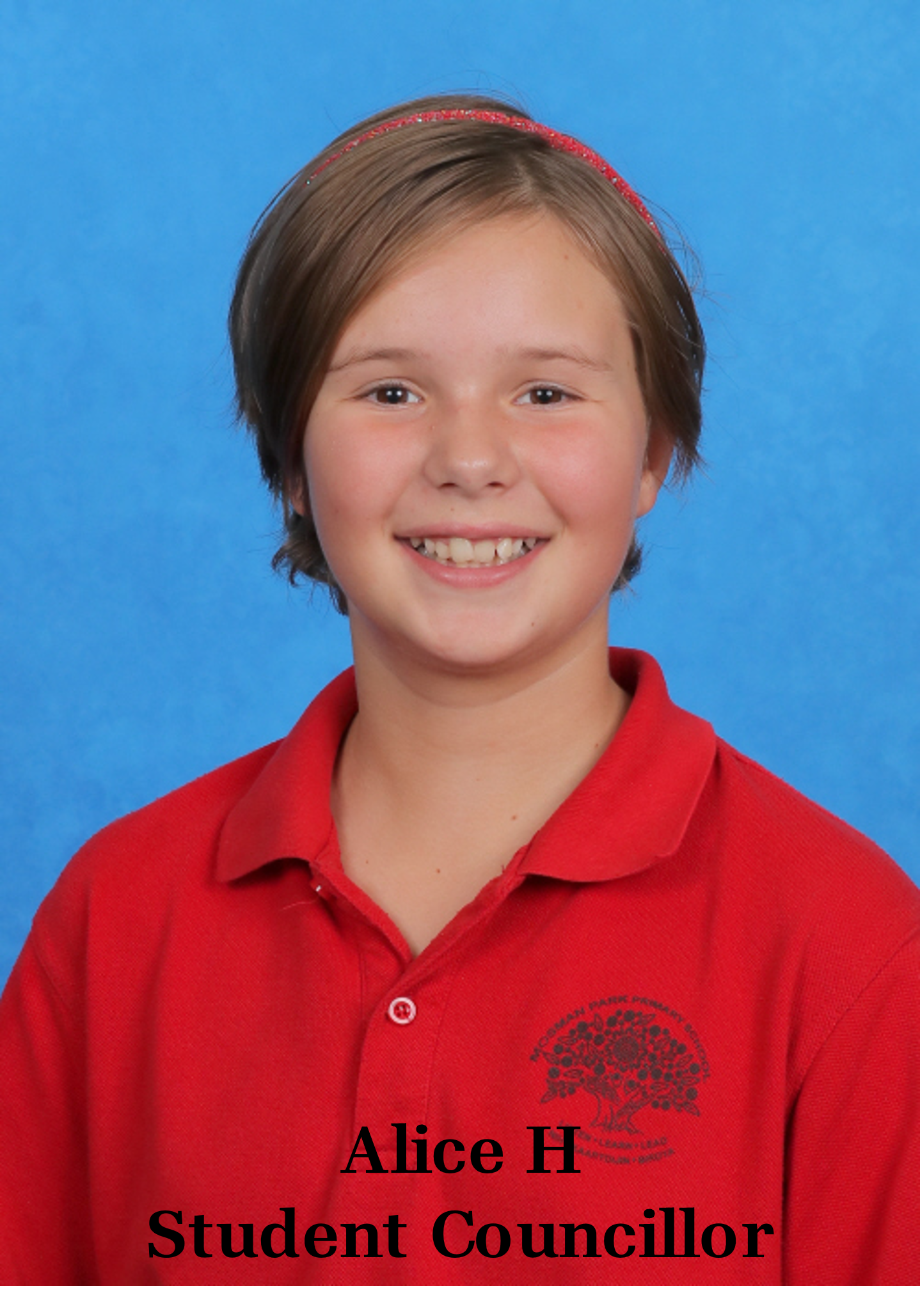 alice-h.png