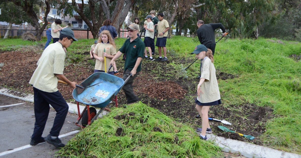 Bush Ranger Cadets Weeding at Coolbinia Primary - Mount Lawley Senior ...