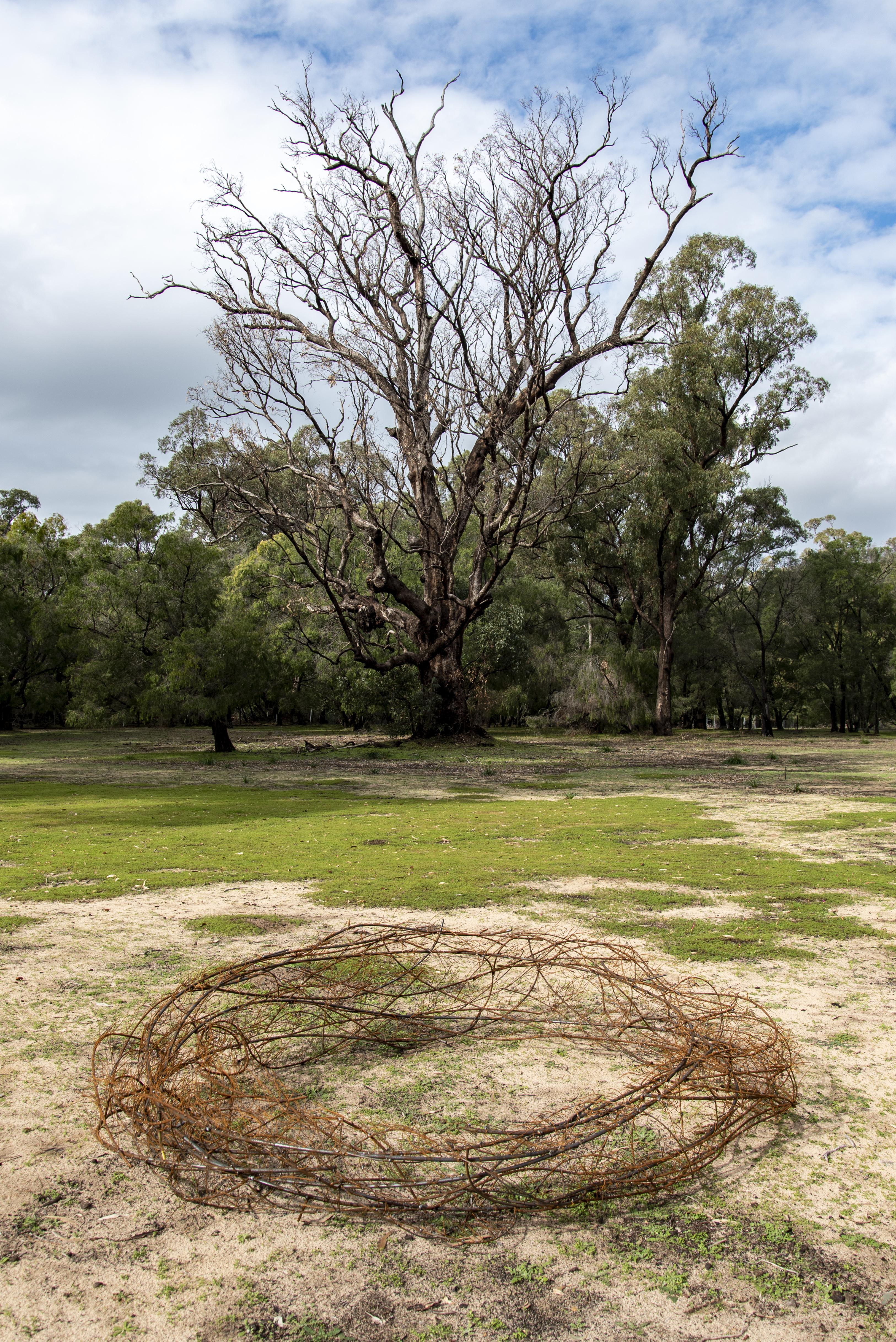 Sculptures at Bathers Beach 2022 Wreath
