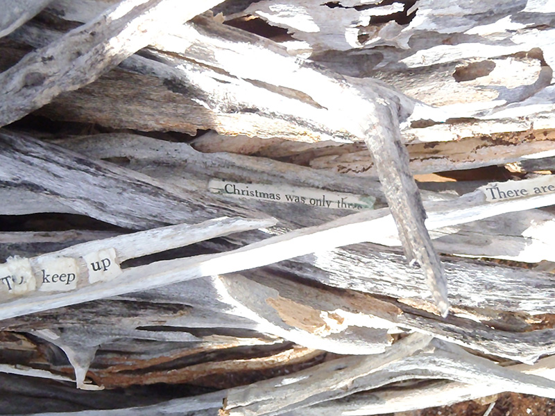 I made the text statements