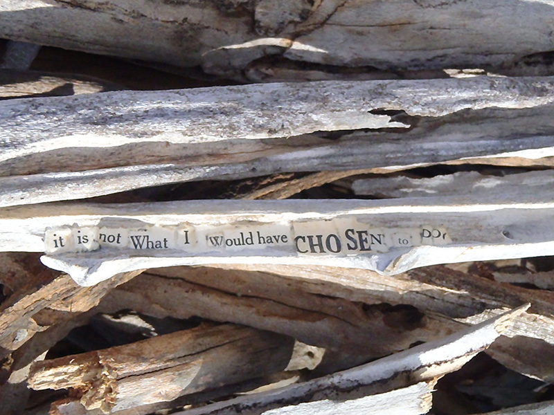 I made the text statements