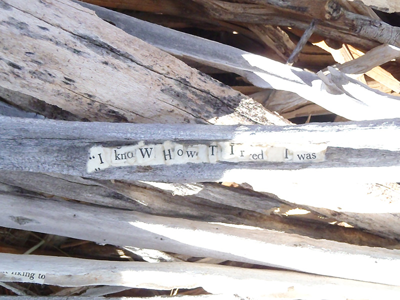 I made the text statements