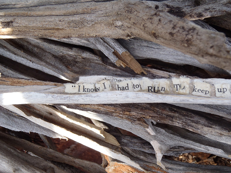 I made the text statements