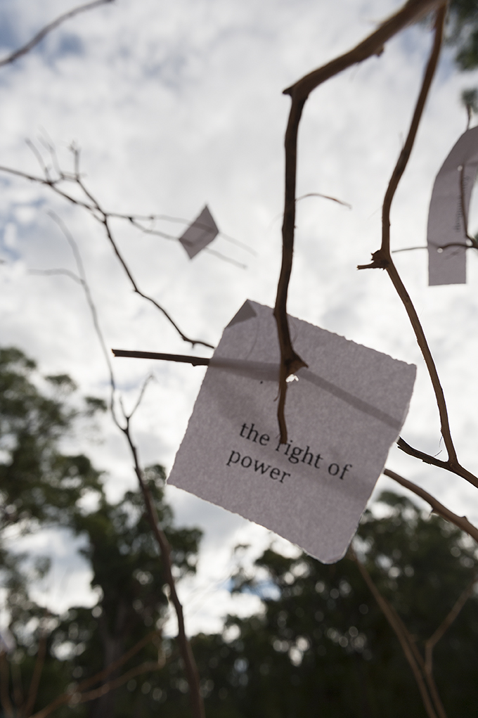 2013 Sticks in my Mind Helen Seiver