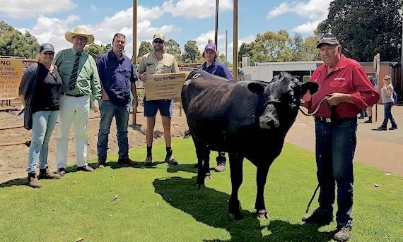 Black Dog Ride's Clementine I Auctioned for $3300 at Landmark Boyanup