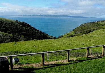 View from Kangaroo Island's Dudley Winery Cellar Door'