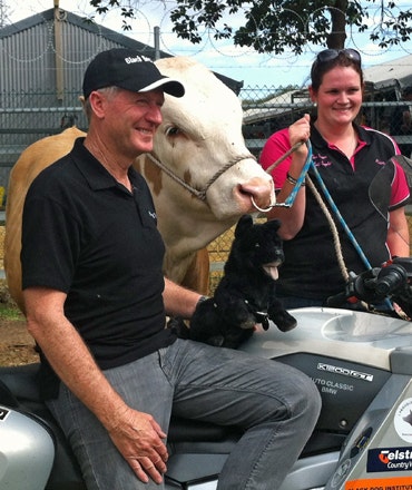 Steve Andrews with 'Black Dog' the Simmental Steer