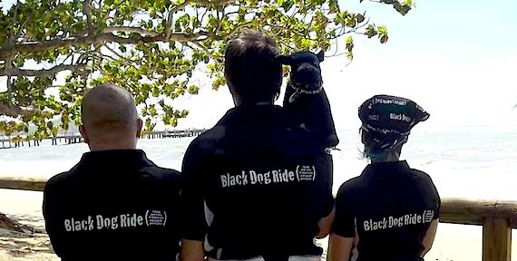 Black Dog Ride's 1 Dayer, Cairns, 2015