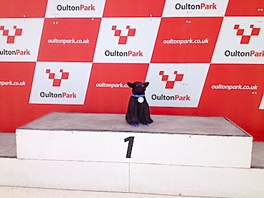 Celebrity Black Dog - Winston on Tour in the UK