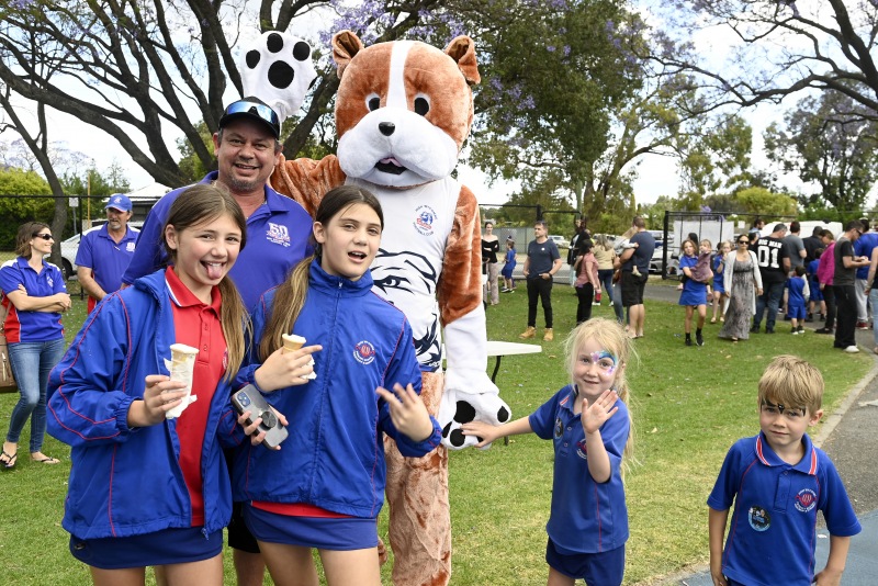 High Wycombe Bull Dogs Foot Ball Club